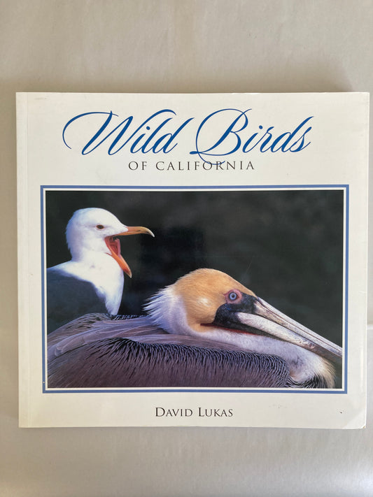 Wild Birds Of California