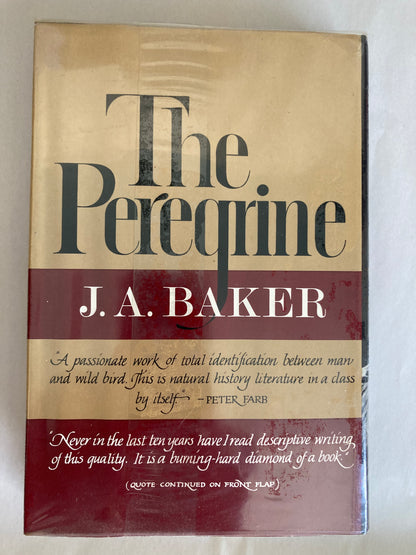 The Peregrine