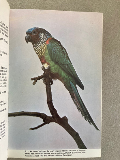 The Parrots of South America