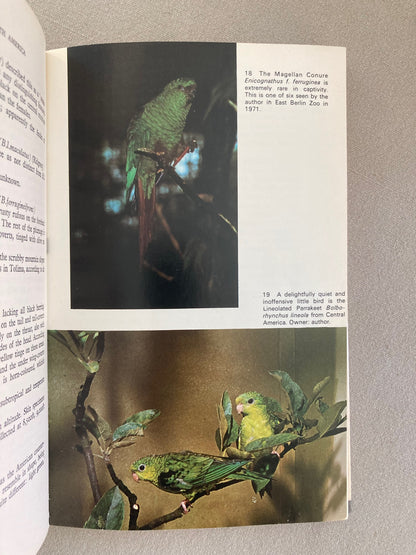 The Parrots of South America