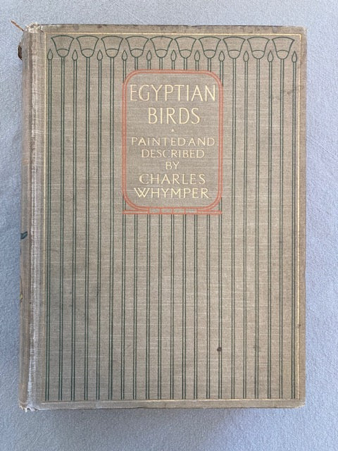 Egyptian Birds: For the Most Part Seen in the Nile Valley. Painted and Described by Charles Whymper