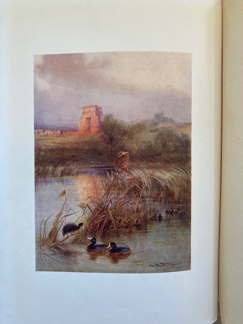 Egyptian Birds: For the Most Part Seen in the Nile Valley. Painted and Described by Charles Whymper