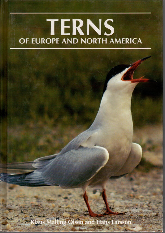 Book cover and/or sample page of Terns of Europe and North America