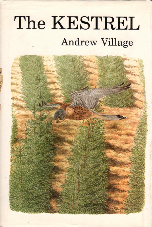Book cover and/or sample page of The Kestrel