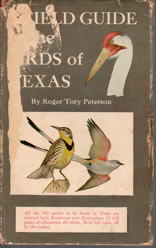 A Field Guide to the Birds of Texas cover