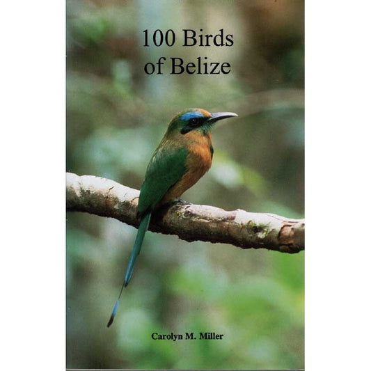 Book cover and/or sample page of 100 Birds of Belize