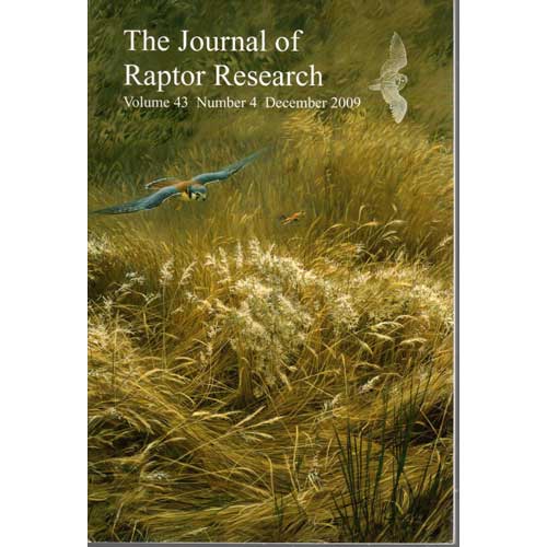Book cover and/or sample page of The American Kestrel: From Common to Scarce?