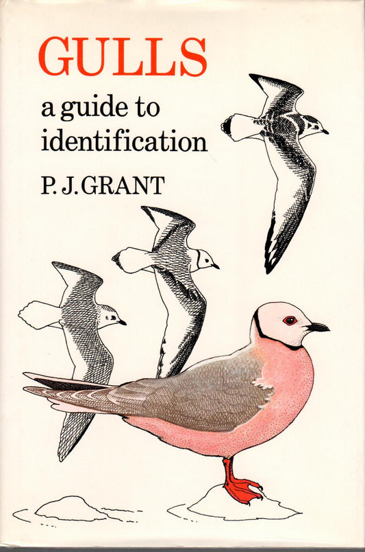 Book cover Gulls: A Guide to Identification. Second Edition