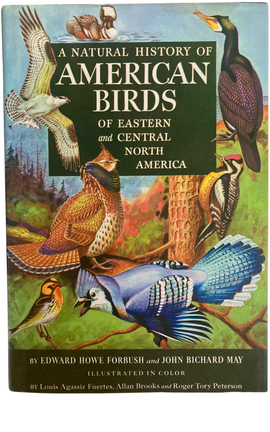 Book cover A Natural History of American Birds of Eastern and Central North America