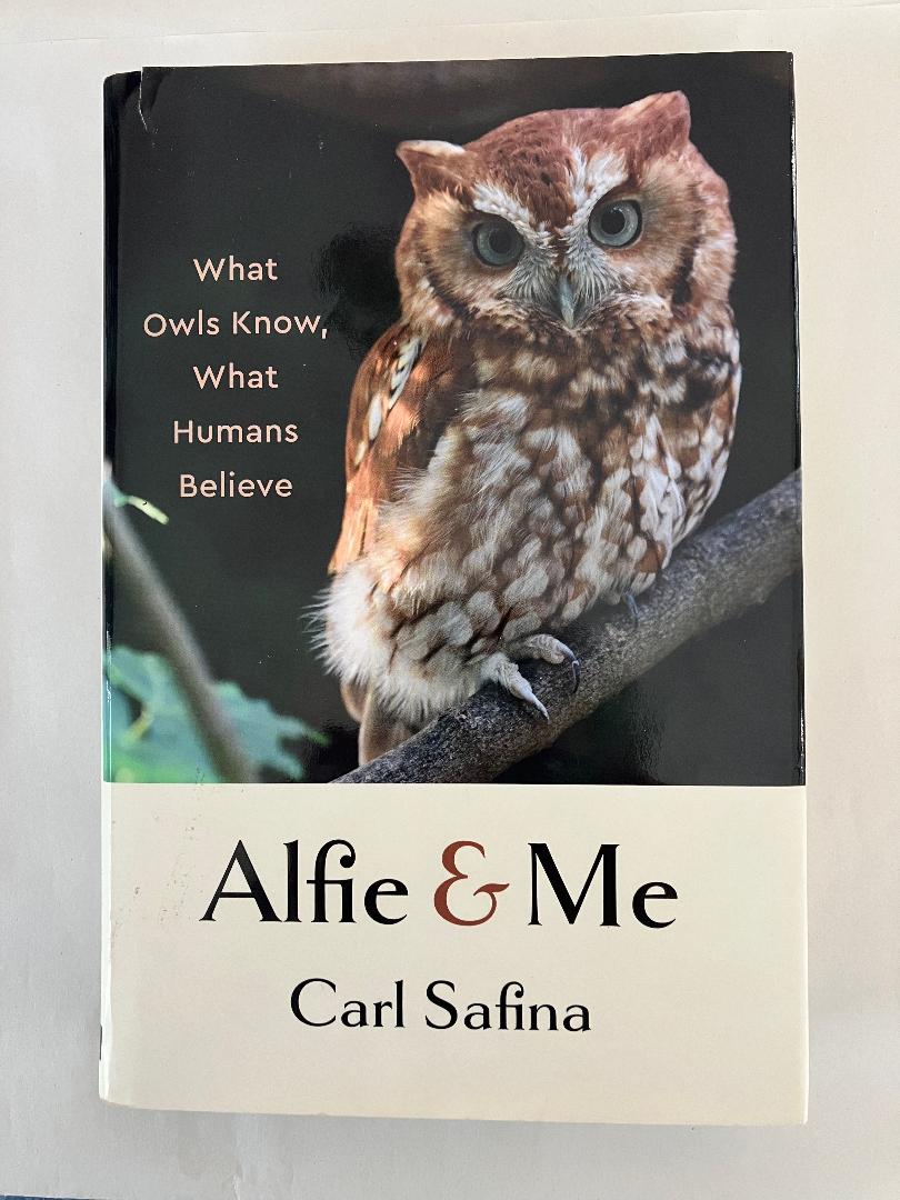Book cover Alfie & Me: What Owls Know, What Humans Believe