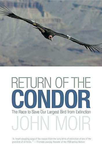 Book cover Return of the Condor: The Race to Save Our Largest Bird from Extinction