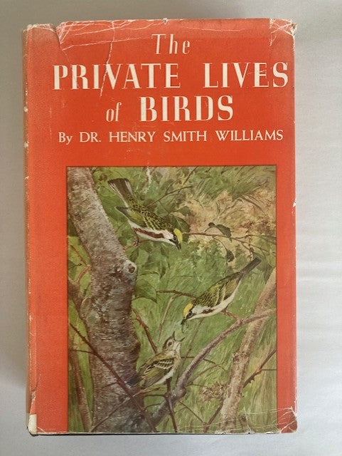 The Private Lives of Birds