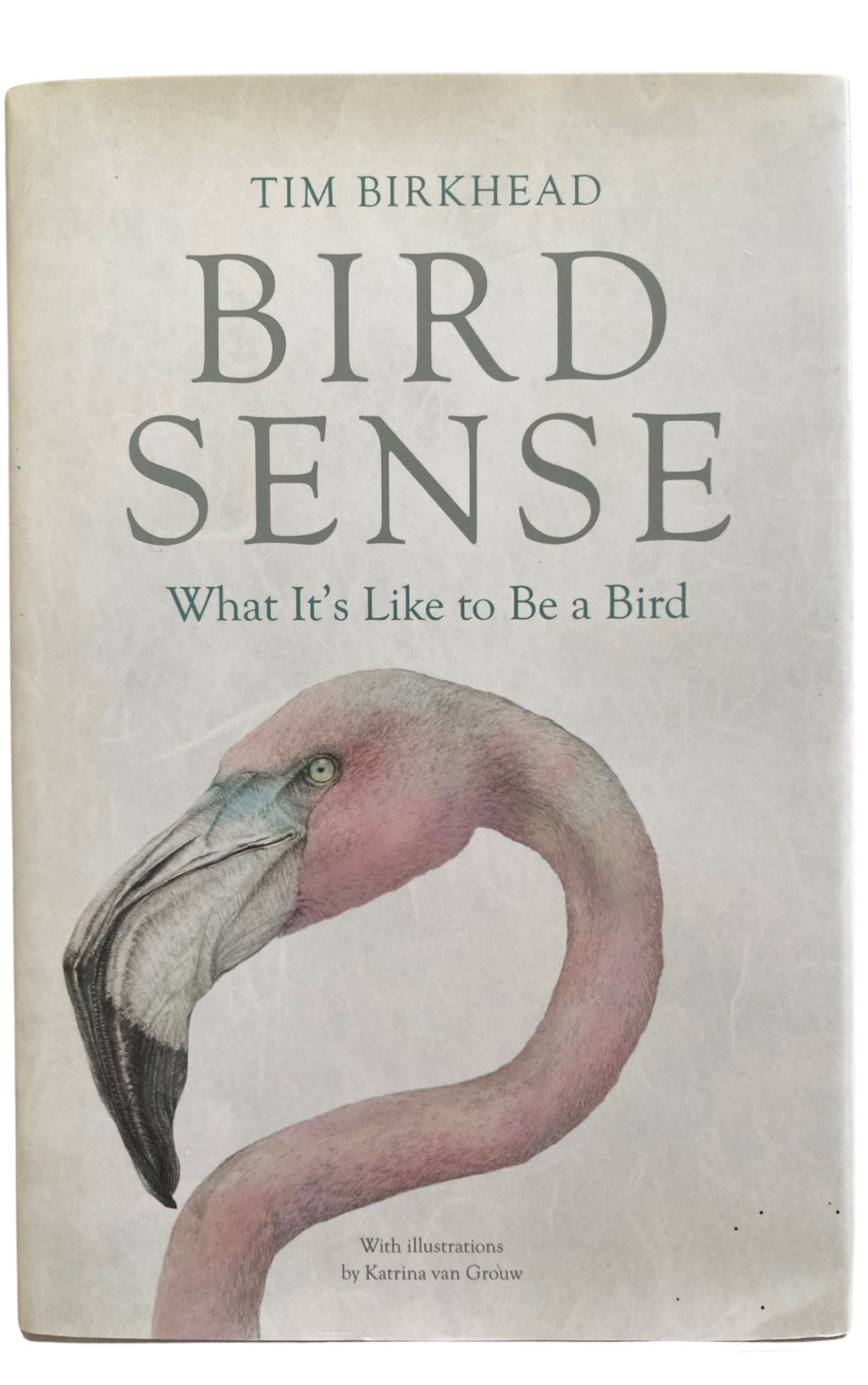 Book cover Bird Sense: What It's Like to Be a Bird