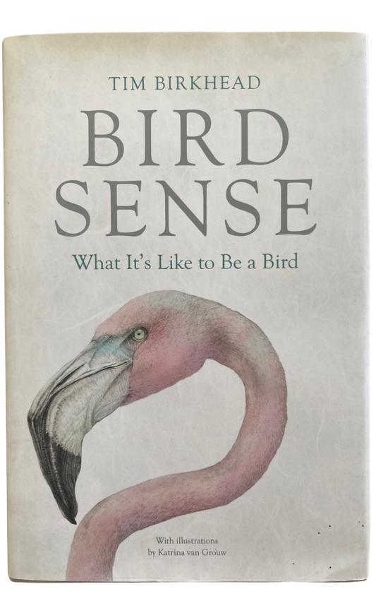 Book cover Bird Sense: What It's Like to Be a Bird