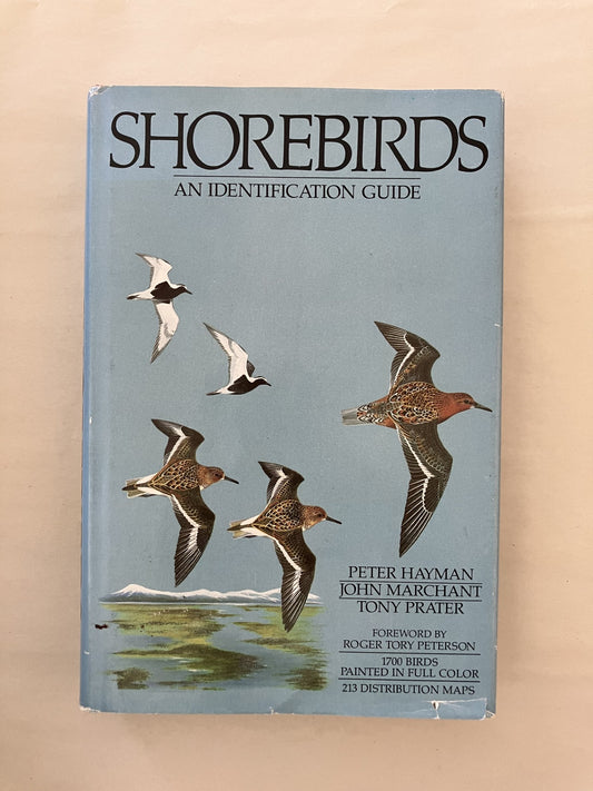 Shorebirds: An Identification Guide