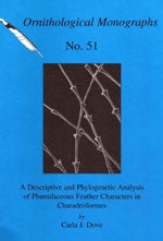 Book cover and/or sample page of A Descriptive and Phylogenetic Analysis of Plumulaceous Feather Characters in Charadriiformes (OM51)