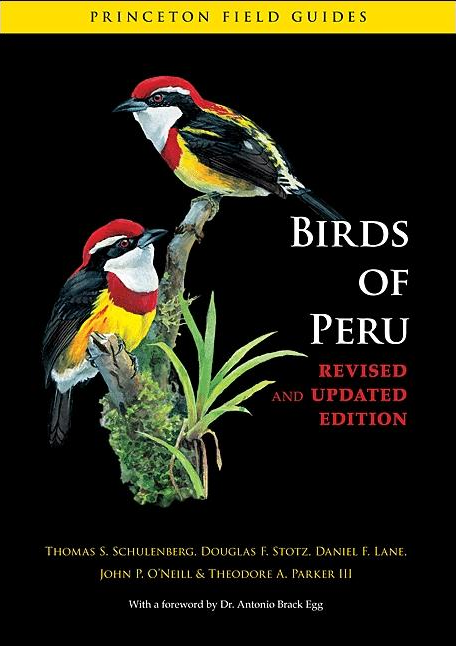 Birds of Peru: Revised and Updated Edition [PB]