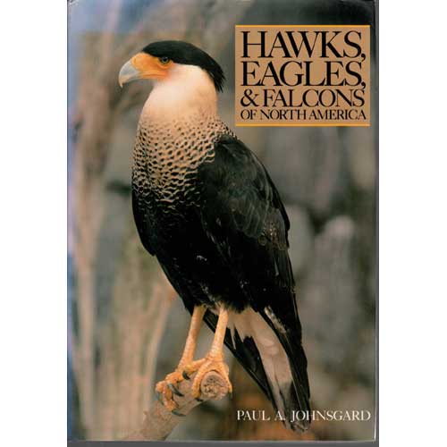 Book cover and/or sample page of Hawks, Eagles and Falcons of North America: Biology and Natural History