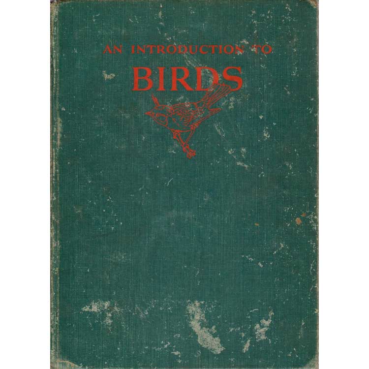 Book cover and/or sample page of An Introduction To Birds