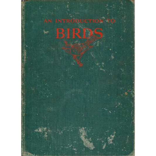 Book cover and/or sample page of An Introduction To Birds