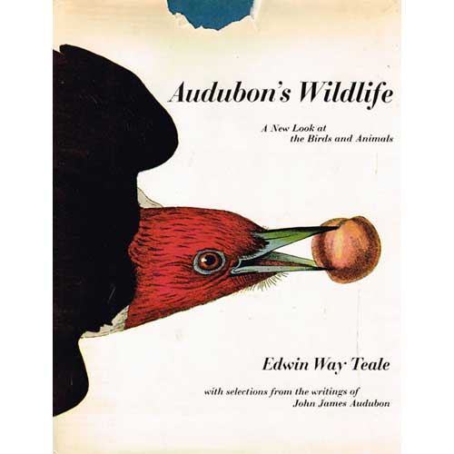 Book cover and/or sample page of Audubon's Wildlife