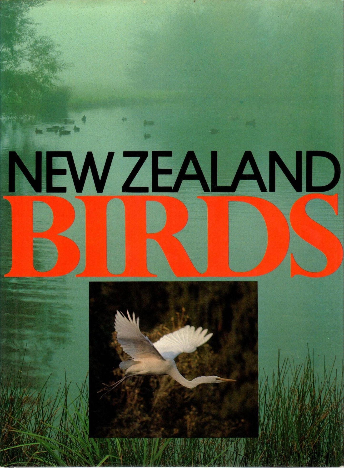 Book cover and/or sample page of New Zealand Birds