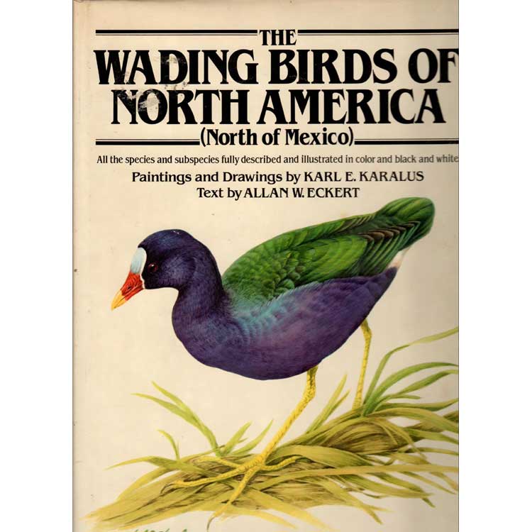 Book cover and/or sample page of The Wading Birds of North America