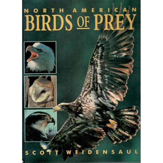 Book cover and/or sample page of North American Birds of Prey