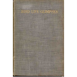 Book cover and/or sample page of Bird Life Glimpses