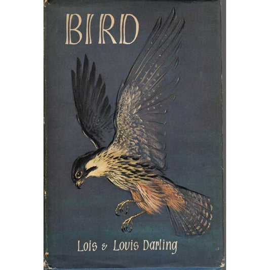 Book cover and/or sample page of Bird