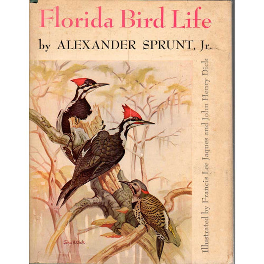 Florida Bird Life cover