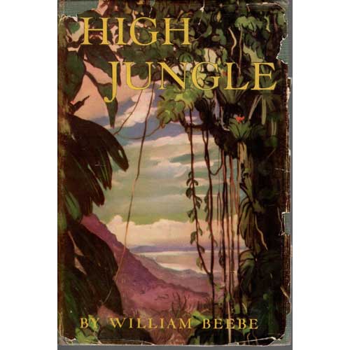 Book cover and/or sample page of High Jungle