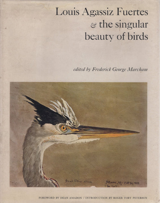 Book cover and/or sample page of Louis Agassiz Fuertes and the Singular Beauty of Birds