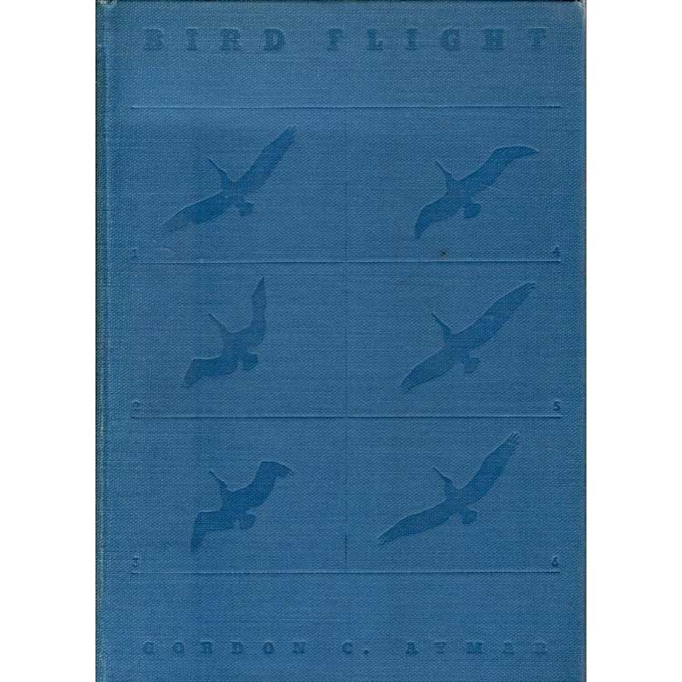 Book cover and/or sample page of Bird Flight