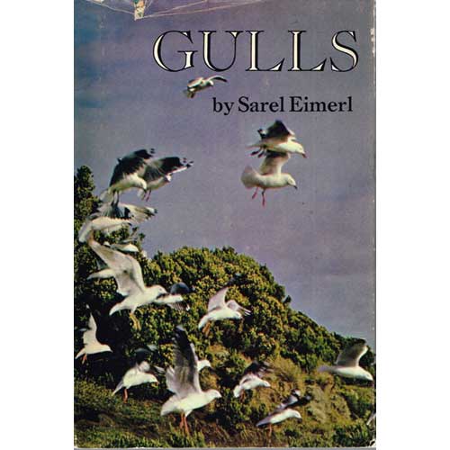 Book cover and/or sample page of Gulls