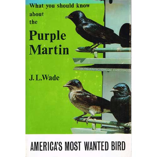 Book cover and/or sample page of What You Should Know About the Purple Martin