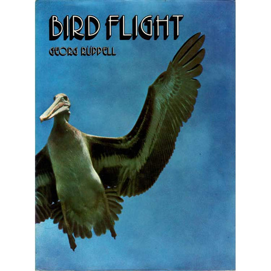 Book cover and/or sample page of Bird Flight