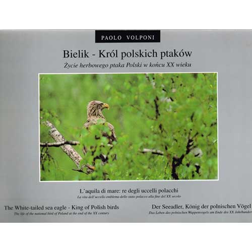 Book cover and/or sample page of L'aquila di mare: re degli uccelli polacchi: The White-tailed Sea Eagle-King of Polish Birds
