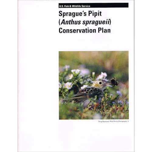 Book cover and/or sample page of Sprague's Pipit [Anthus spragueii] Conservation Plan