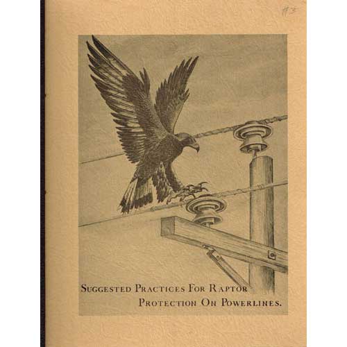 Book cover and/or sample page of Suggested Practices for Raptor Protection on Powerlines