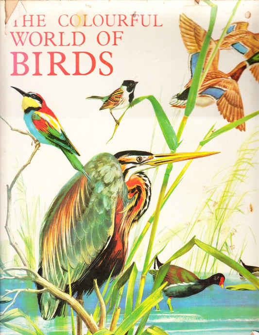 The Colourful World of Birds