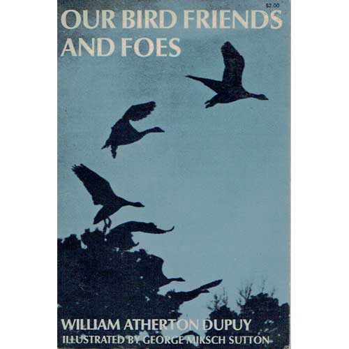 Our Bird Friends and Foes cover
