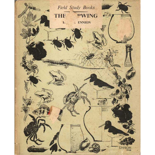 Book cover and/or sample page of The Lapwing