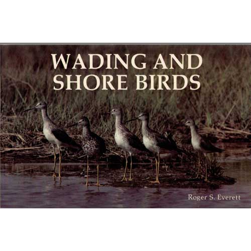 Book cover and/or sample page of Wading and Shore Birds