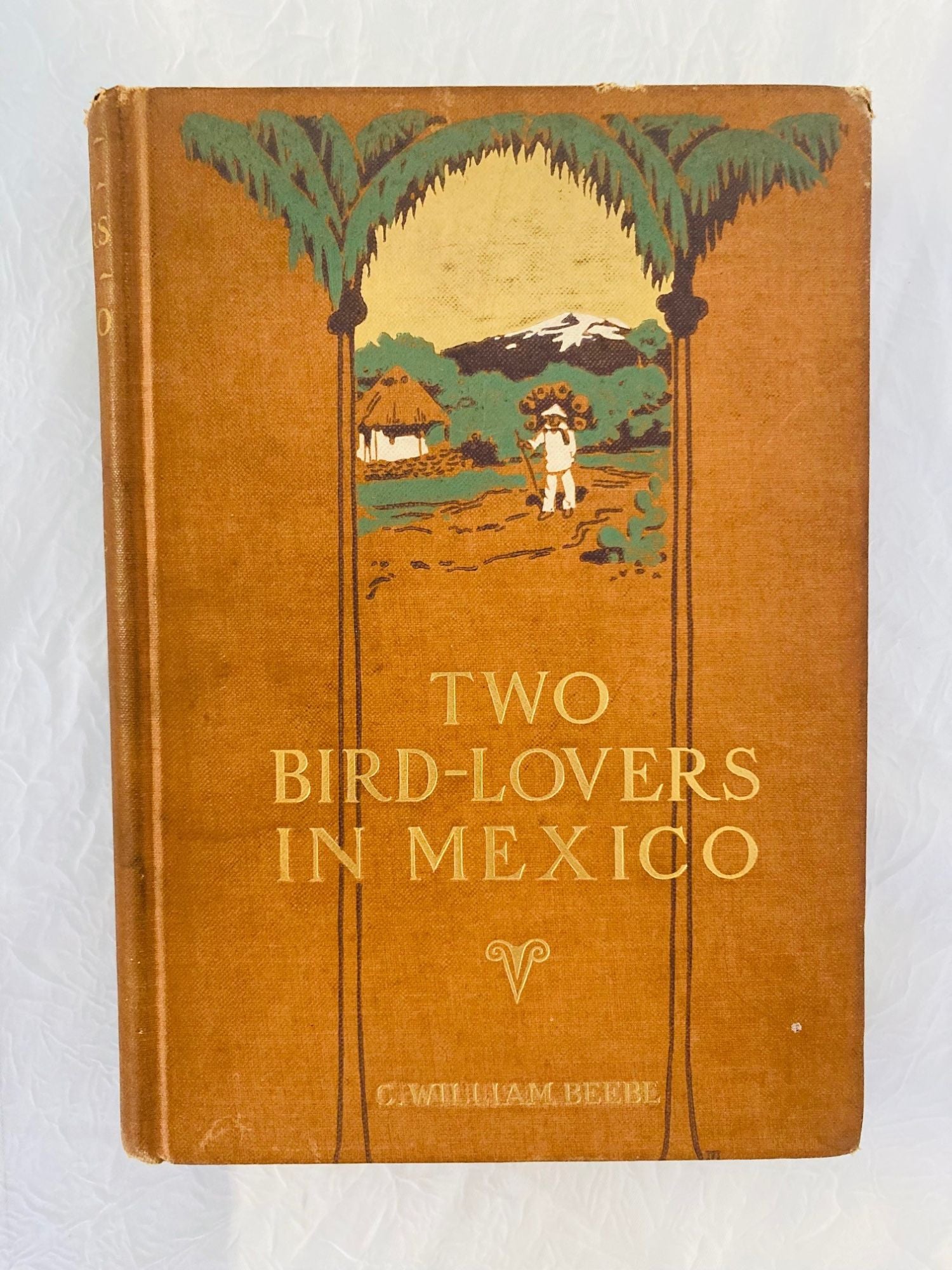 Book cover Two Bird-Lovers in Mexico