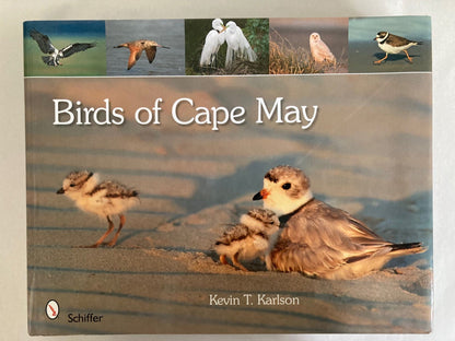 Book cover Birds of Cape May