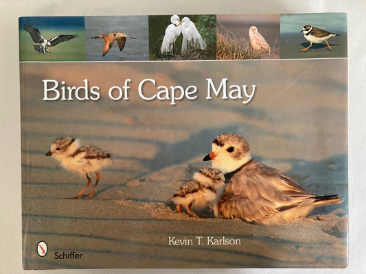 Book cover Birds of Cape May
