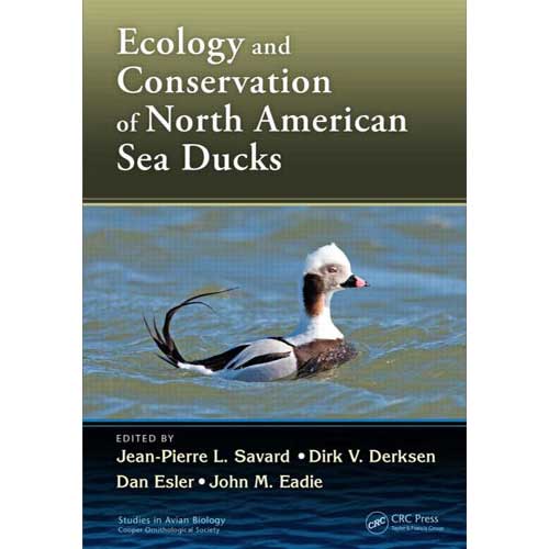 Ecology and Conservation of North American Sea Ducks cover