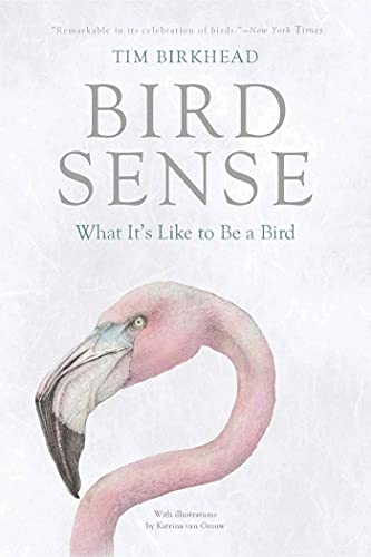 Book cover Bird Sense: What It's Like to Be a Bird