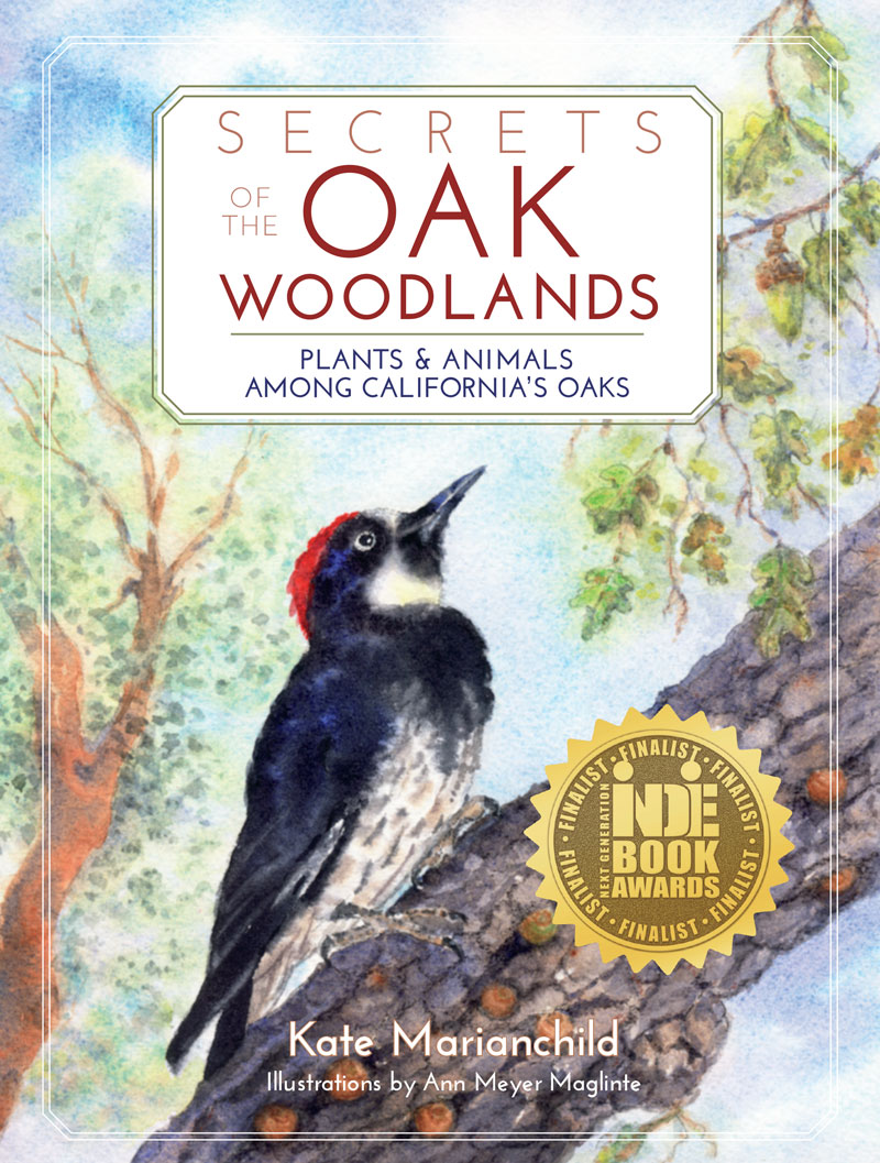 Secrets of the Oak Woodlands: Plants and Animals among California's Oaks